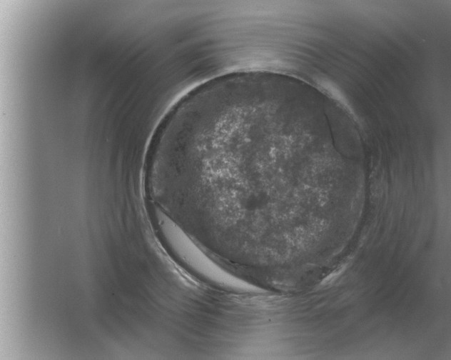 X0000063480932200602031922