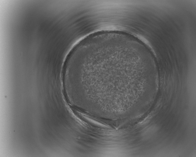 X0000063480935200602031922