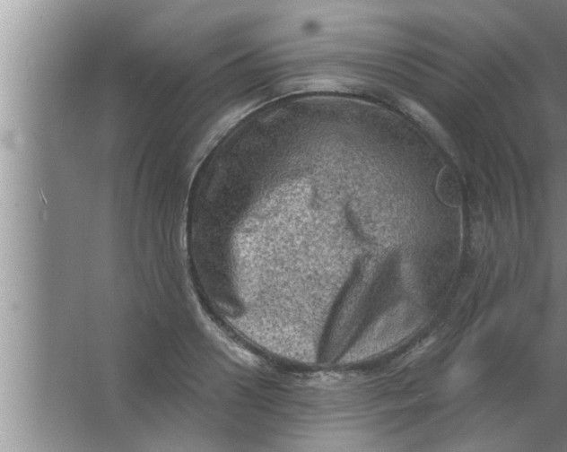 X0000063480938200602031922