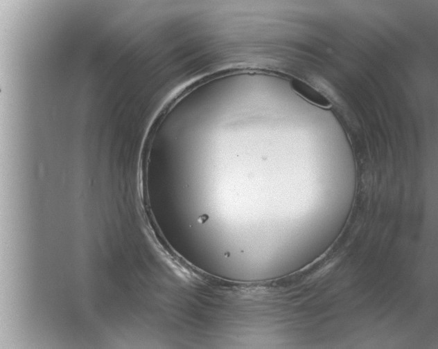 X0000063480940200602031922