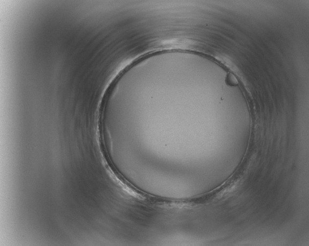 X0000063480941200602031922