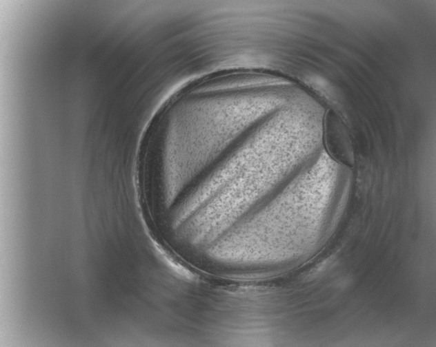 X0000063480942200602031922