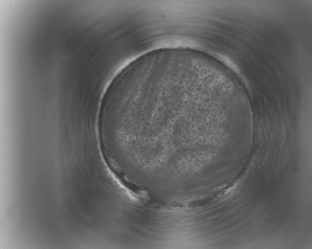 X0000063480943200602031922