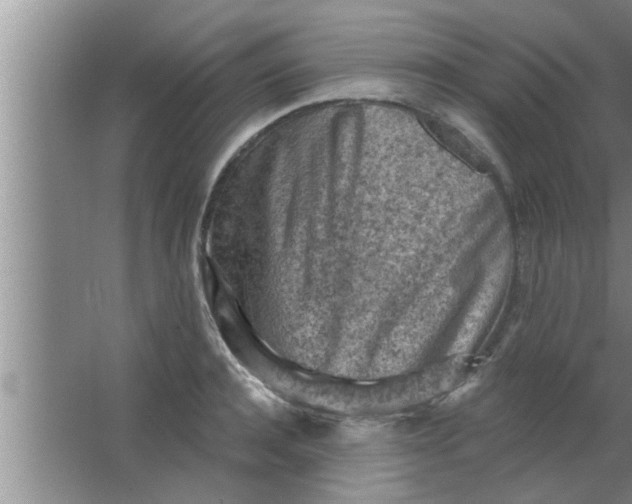 X0000063480944200602031922