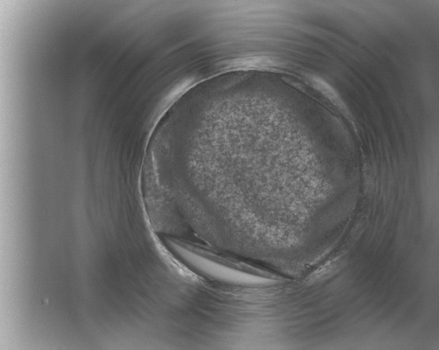 X0000063480946200602031922