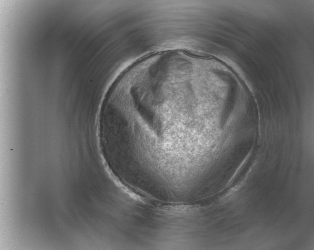 X0000063480949200602031922