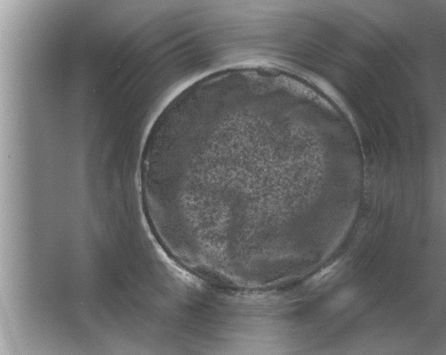 X0000063480951200602031922