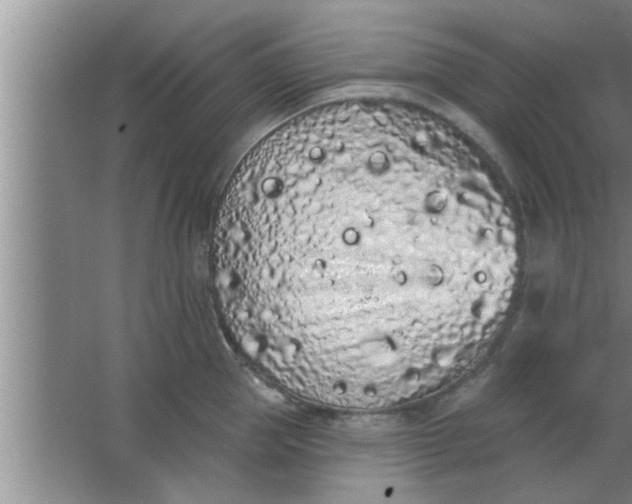 X0000063480953200602031922