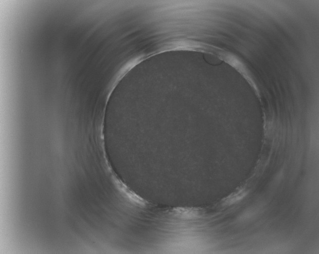 X0000063480954200602031922