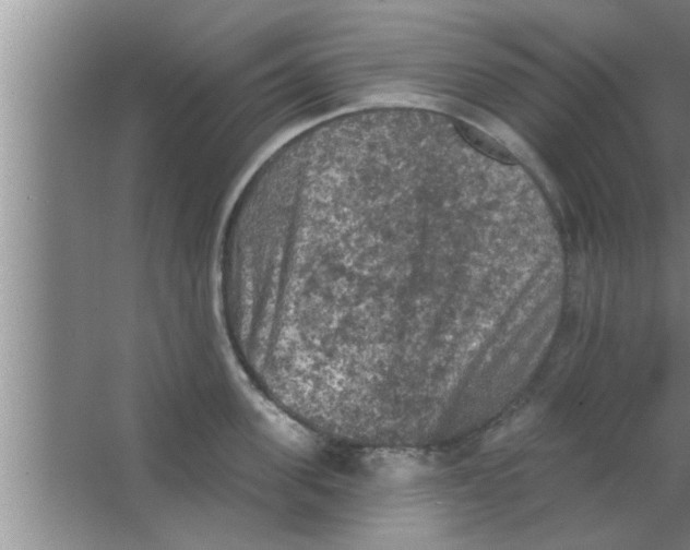 X0000063480955200602031922