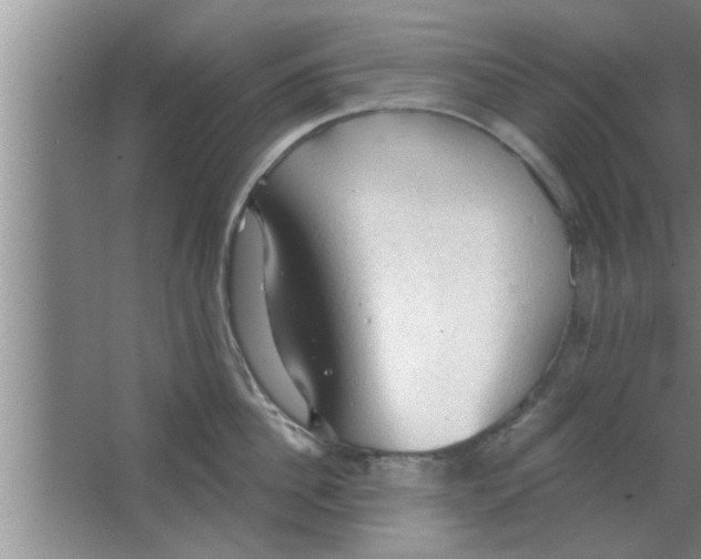 X0000063480956200602031922