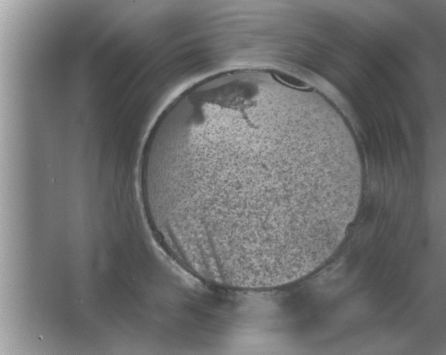 X0000063480958200602031922