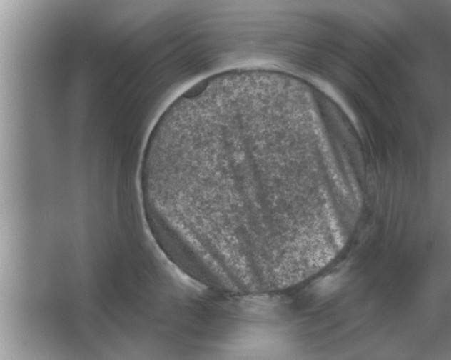 X0000063480959200602031922