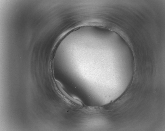 X0000063480960200602031922