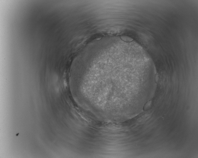 X0000063480962200602031921