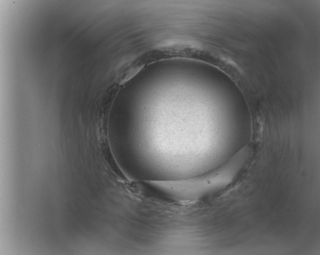 X0000063480965200602031921