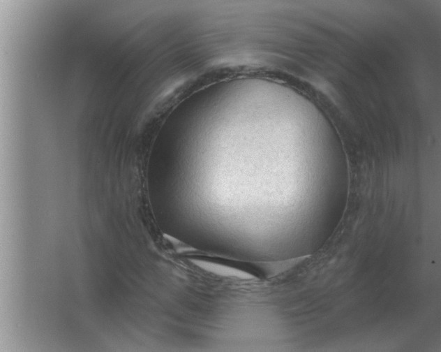 X0000063480967200602031921