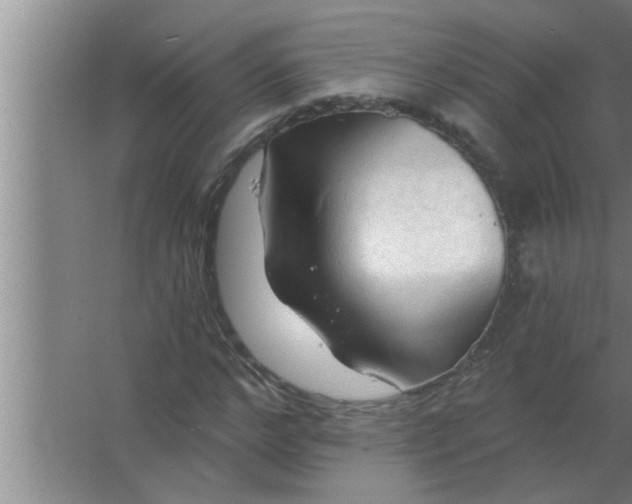 X0000063480968200602031921