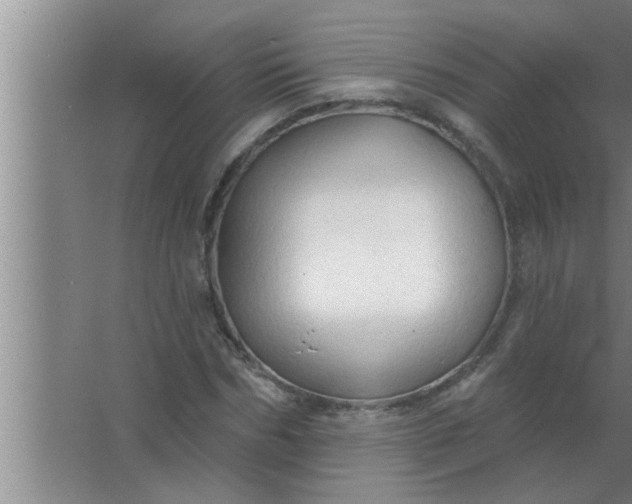 X0000063480970200602031921