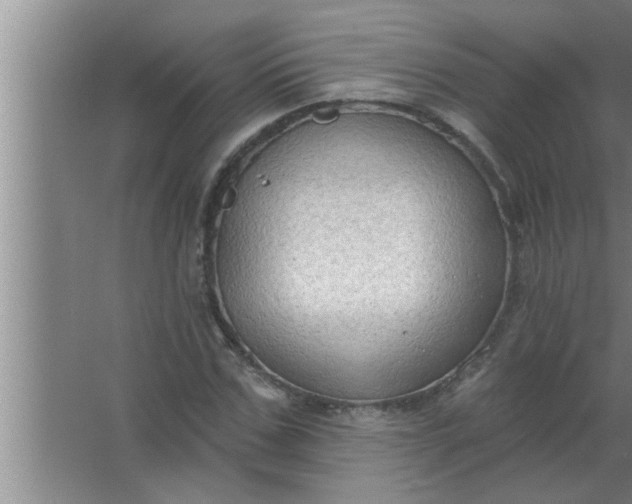 X0000063480971200602031921