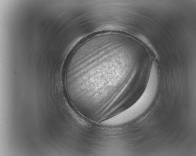 X0000063480972200602031921