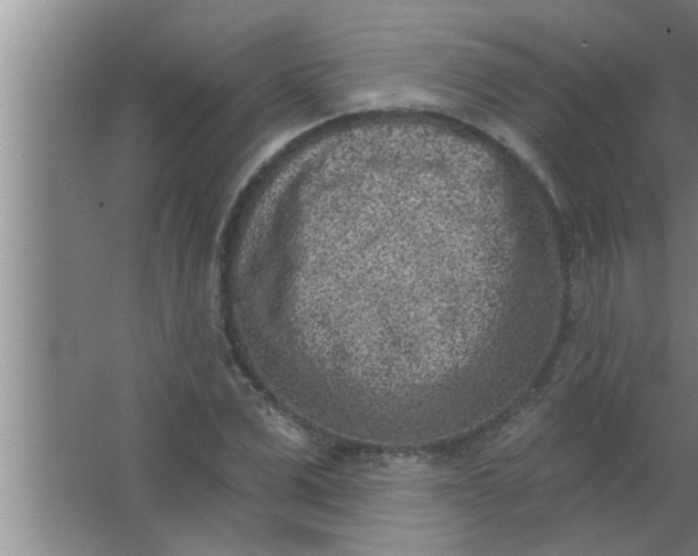 X0000063480975200602031921