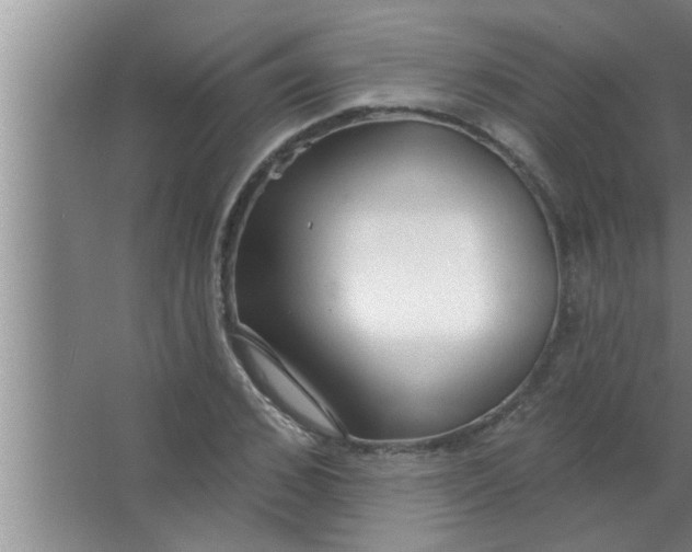 X0000063480976200602031921