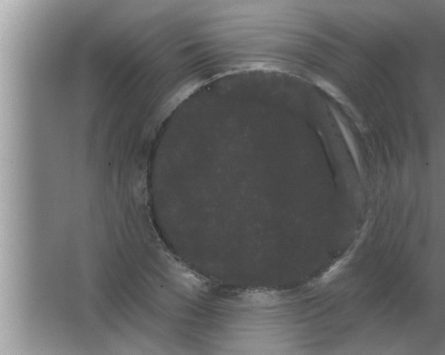 X0000063480977200602031921