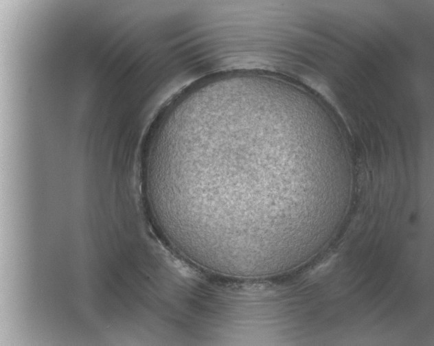 X0000063480979200602031921