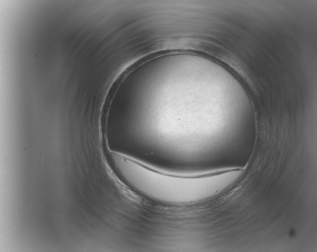 X0000063480980200602031921