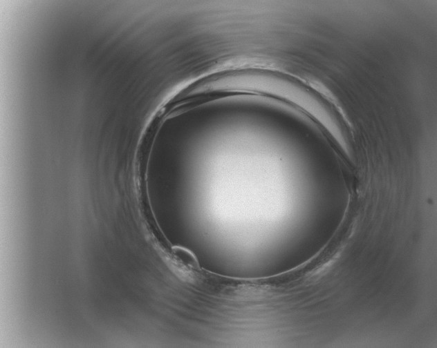 X0000063480981200602031921