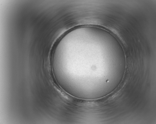 X0000063480982200602031921