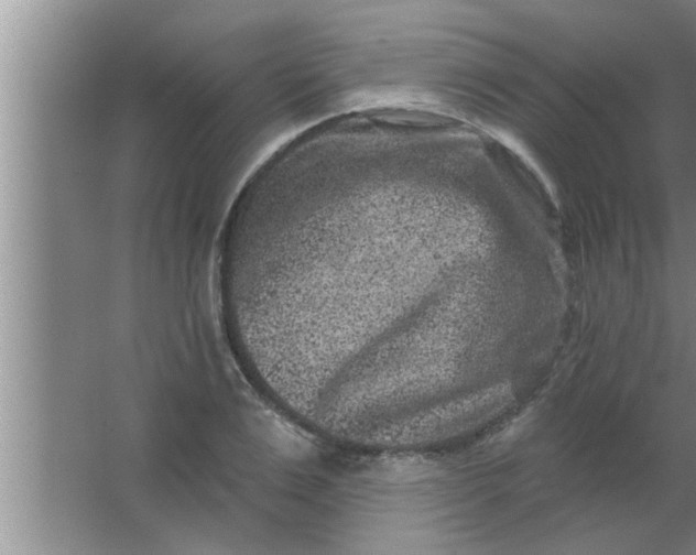 X0000063480983200602031921