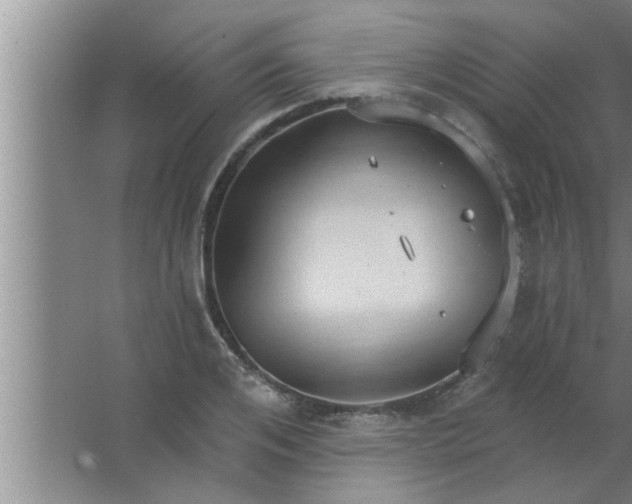 X0000063480984200602031921