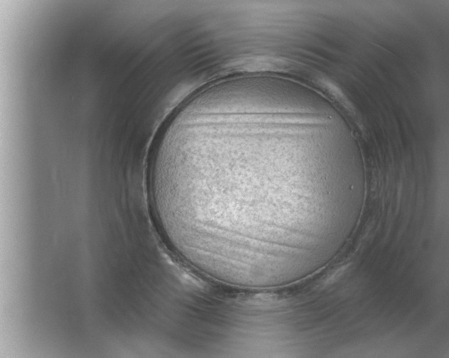 X0000063480986200602031921