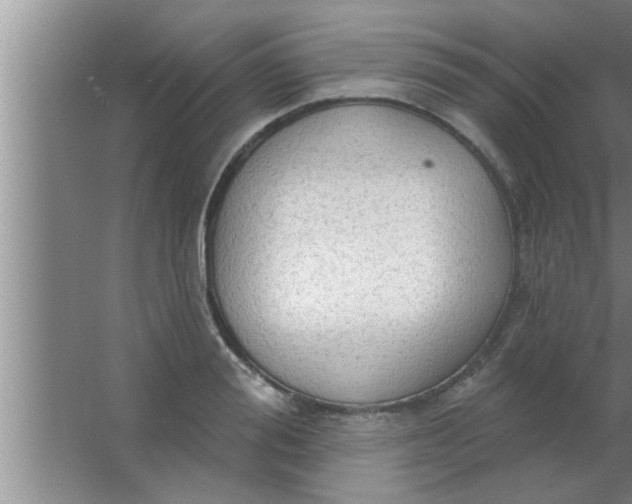 X0000063480988200602031921