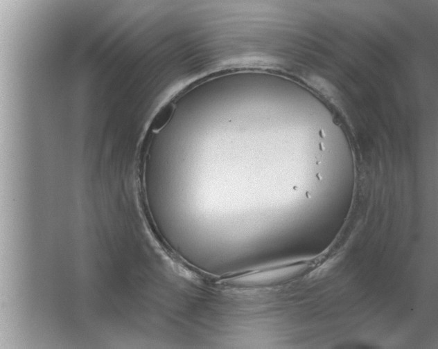 X0000063480989200602031921