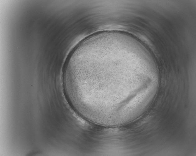 X0000063480990200602031921