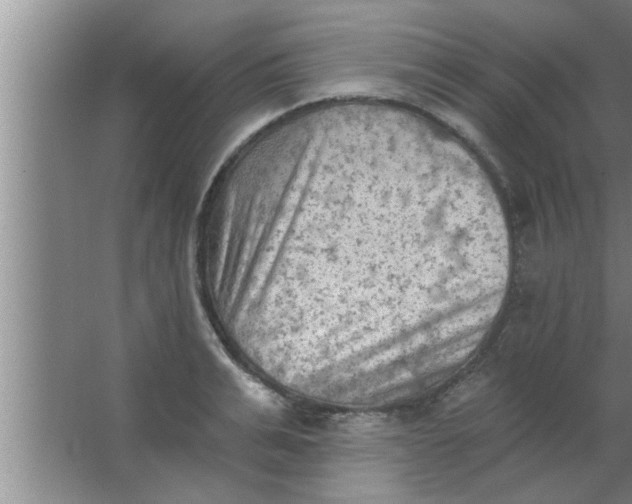 X0000063480991200602031921