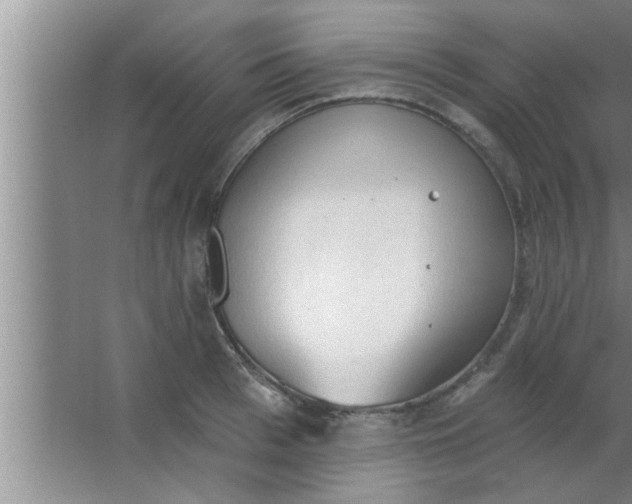 X0000063480993200602031921