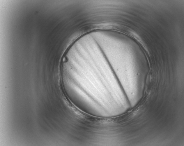 X0000063480994200602031921