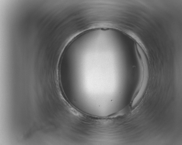 X0000063480996200602031921