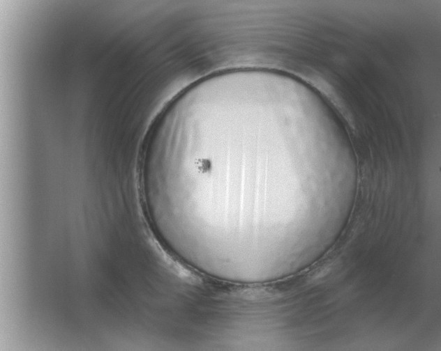 X0000063480998200602031921