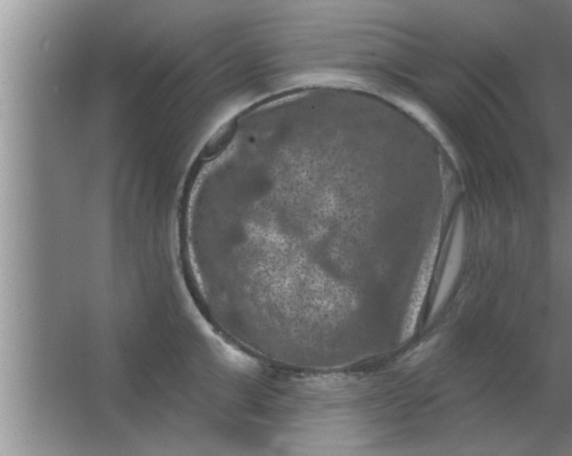 X0000063480999200602031921