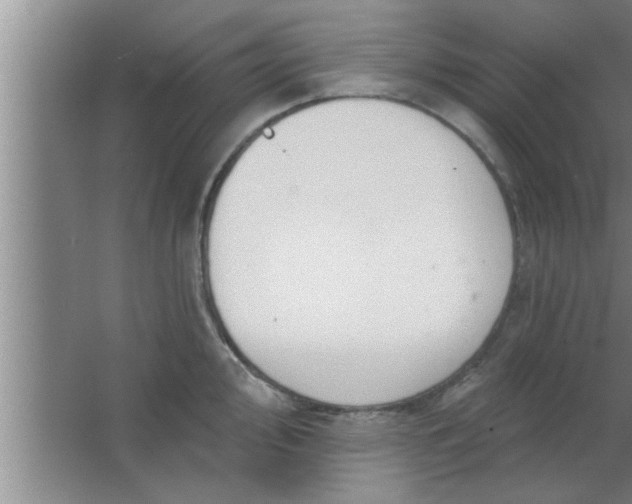 X0000063481000200602031921