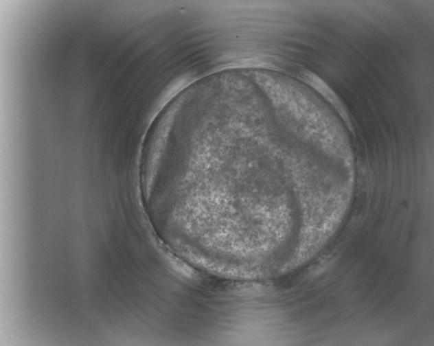 X0000063481002200602031921