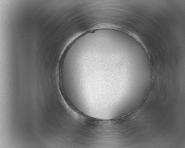 X0000063481003200602031921