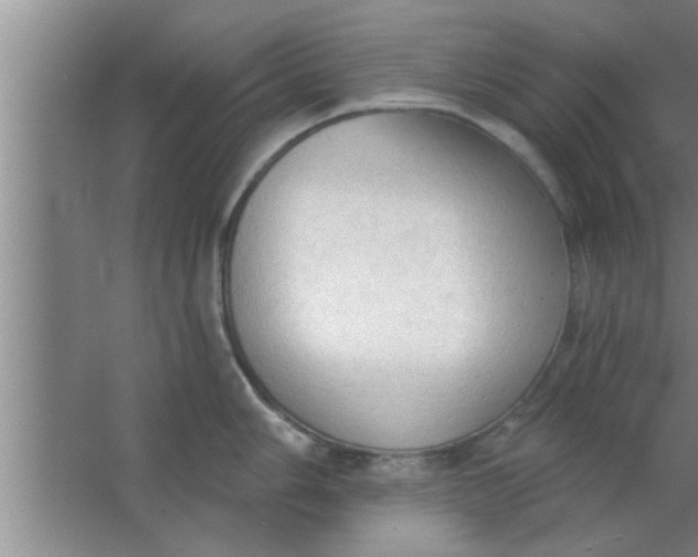 X0000063481006200602031921