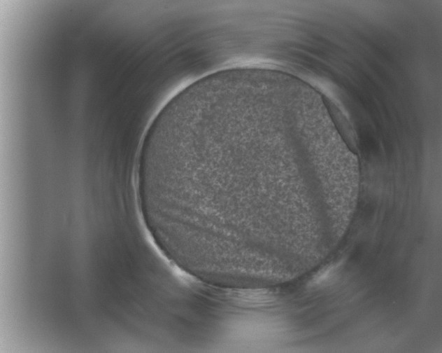 X0000063481007200602031921