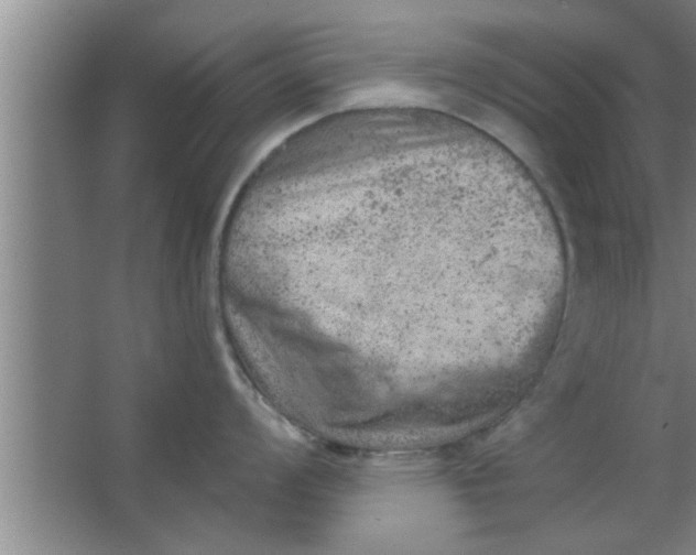 X0000063481008200602031921